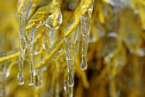 Icy Gold